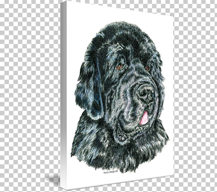 Flat-Coated Retriever Newfoundland Dog Puppy Giant Dog Breed PNG, Clipart, Breed, Carnivoran, Coat, Dog, Dog Breed Free PNG Download