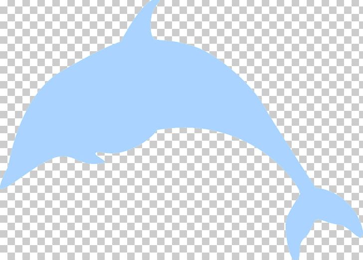 Common Bottlenose Dolphin Tucuxi Animal Porpoise PNG, Clipart, Animal, Animals, Aquatic Animal, Blue, Bottlenose Dolphin Free PNG Download