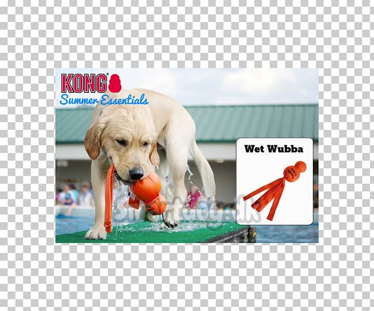 Dog Toys Kong Company Puppy PNG, Clipart, Advertising, Animals, Carnivoran, Companion Dog, Dog Breed Free PNG Download