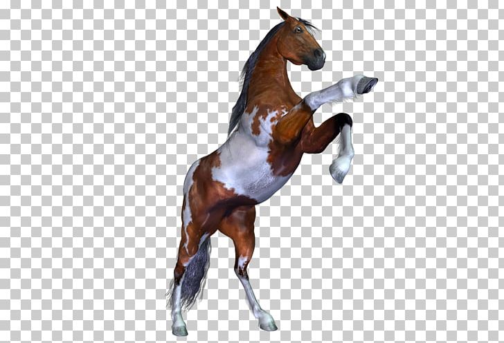 Horses Three-dimensional Space PNG, Clipart, 3d Computer Graphics, Animal, Animal Figure, Animals, Bit Free PNG Download