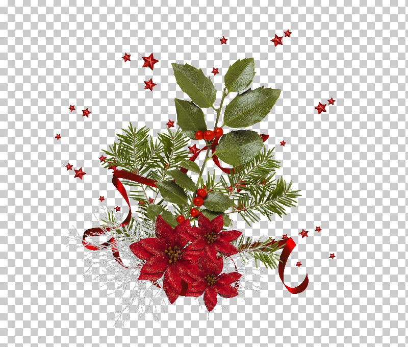 Holly PNG, Clipart, Christmas, Flower, Hawthorn, Holly, Leaf Free PNG Download