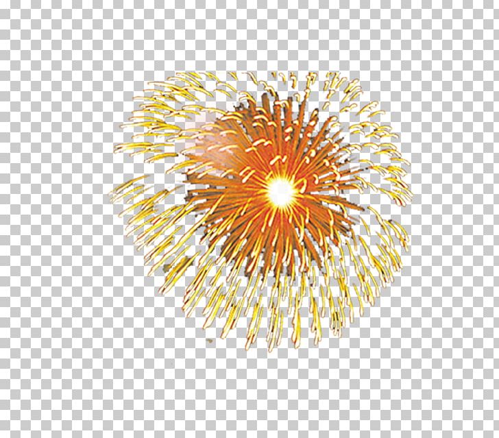 Adobe Fireworks PNG, Clipart, Adobe Illustrator, Circle, Decorative Elements, Download, Effect Free PNG Download