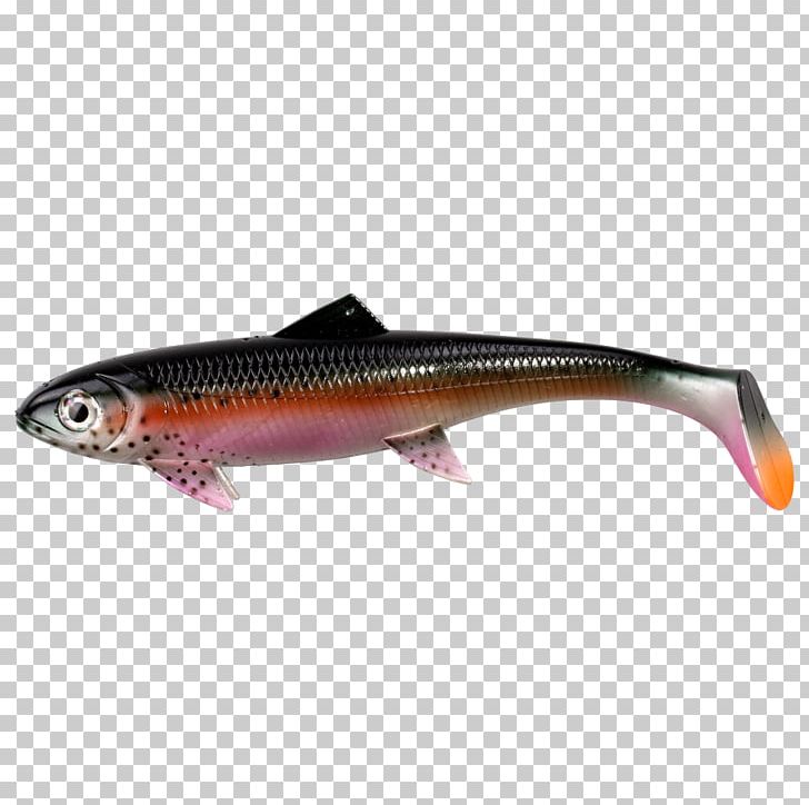 Fishing Baits & Lures Northern Pike Rainbow Trout Angling PNG, Clipart, Angling, Animal Source Foods, Bony Fish, Fishing Nets, Fishing Reels Free PNG Download