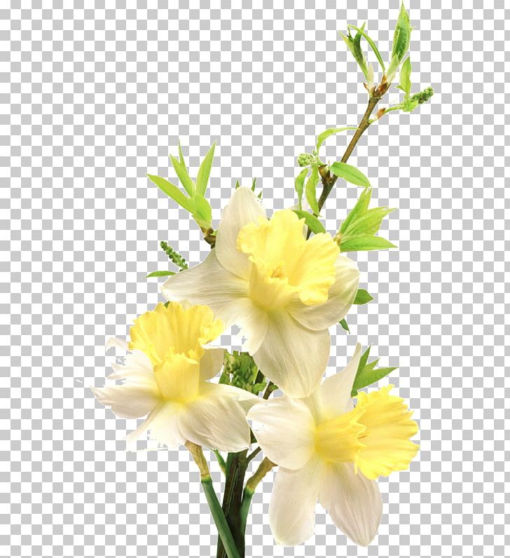 Flower PNG, Clipart, Computer Icons, Cut Flowers, Floral Design, Floristry, Flower Free PNG Download