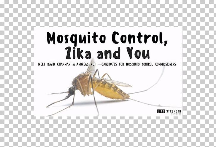 Mosquito Eco Tech Pest Control Cockroach PNG, Clipart, Arthropod, Bed Bug, Cockroach, Cricket, Eco Tech Pest Control Free PNG Download