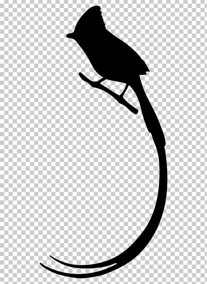 Bird Long Tail Drawing PNG, Clipart, Animal, Animals, Artwork, Beak, Bird Free PNG Download