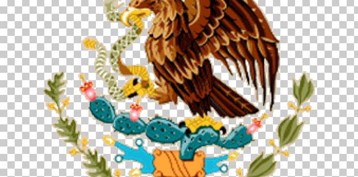 Flag Of Mexico Mexico City Coat Of Arms Of Mexico United States PNG, Clipart, Art, Beak, Bird, Bird Of Prey, Coat Of Arms Of Mexico Free PNG Download