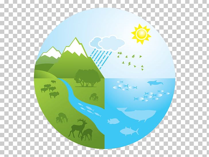 Aquatic Ecosystem Logo Drawing PNG, Clipart, Aqua, Aquatic Ecosystem, Art, Circle, Design Management Free PNG Download