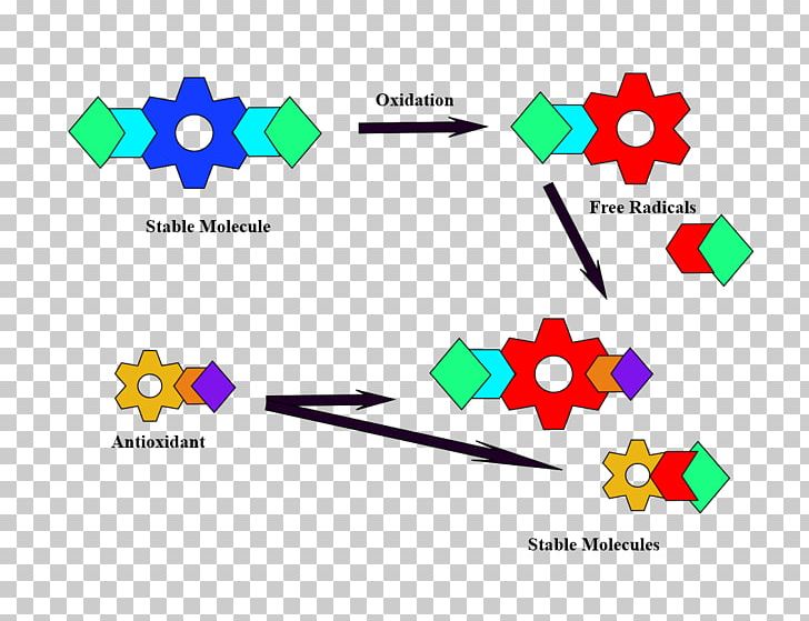 Free-radical Theory Of Aging Antioxidant Redox Tea PNG, Clipart, Antioxidant, Brand, Chart, Diagram, Electron Free PNG Download