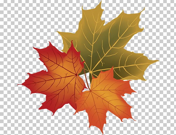Autumn Leaf Color PNG, Clipart, Art, Autumn, Autumn Leaf Color, Desktop Wallpaper, Download Free PNG Download