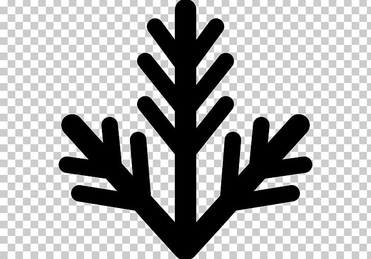 Christmas Ornament Twig Christmas Tree PNG, Clipart, Black And White, Branch, Christmas, Christmas Decoration, Christmas Lights Free PNG Download