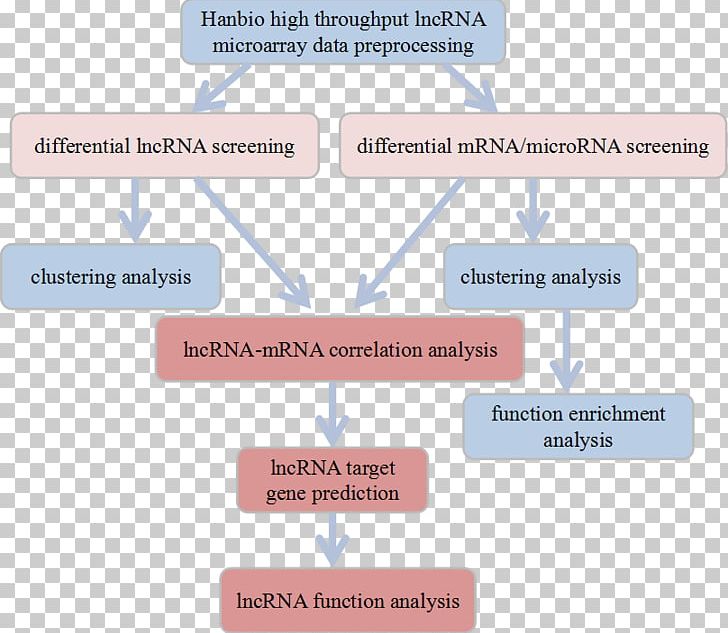 Long Non-coding RNA MicroRNA Bioinformatics Research PNG, Clipart, Angle, Area, Bioinformatics, Brand, Communication Free PNG Download