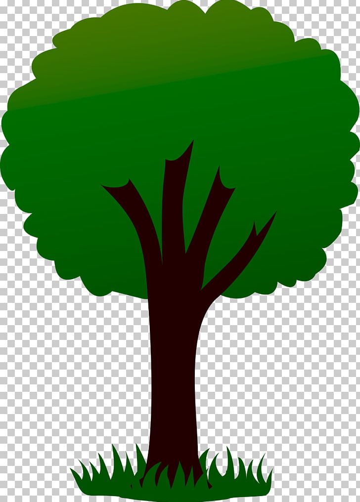 Tree Farm PNG, Clipart, Branch, Christmas Tree, Drawing, Flower, Flowering Plant Free PNG Download