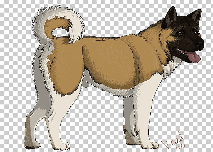 Akita Dog Breed East Siberian Laika West Siberian Laika Shikoku Dog PNG, Clipart, Akita, Akita Inu, Ancient Dog Breeds, Breed, Canaan Dog Free PNG Download