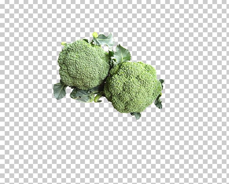 Broccoli Cauliflower Vegetable PNG, Clipart, Brassica Oleracea, Broccoli, Broccoli 0 0 3, Broccoli Art, Broccoli Dog Free PNG Download