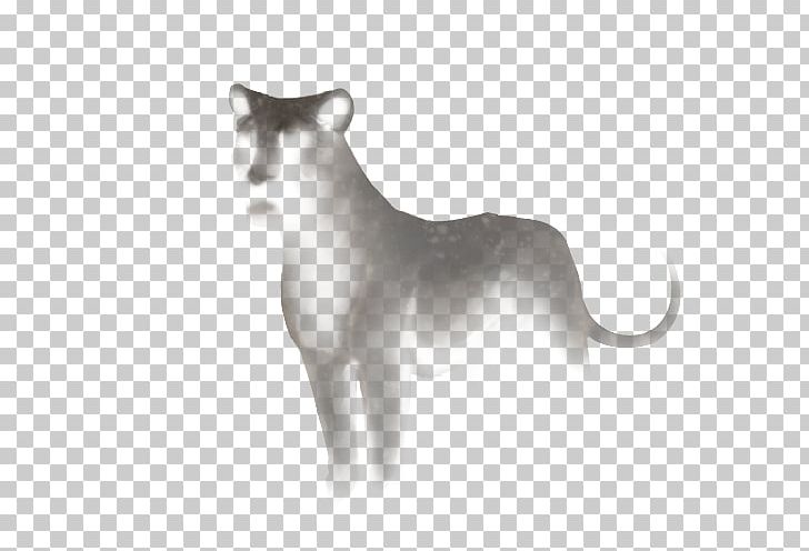 Cat Cougar Felidae Lion Mammal PNG, Clipart, Animal, Animals, Big Cat, Big Cats, Carnivora Free PNG Download