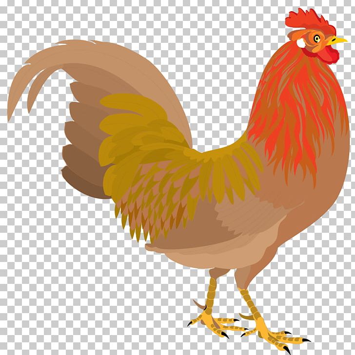Chicken Rooster PNG, Clipart, Animals, Art, Beak, Bird, Chicken Free PNG Download