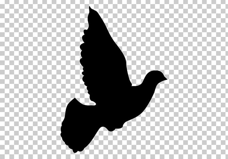 Columbidae Domestic Pigeon Doves As Symbols PNG, Clipart, Beak, Bird, Black And White, Columbidae, Computer Icons Free PNG Download