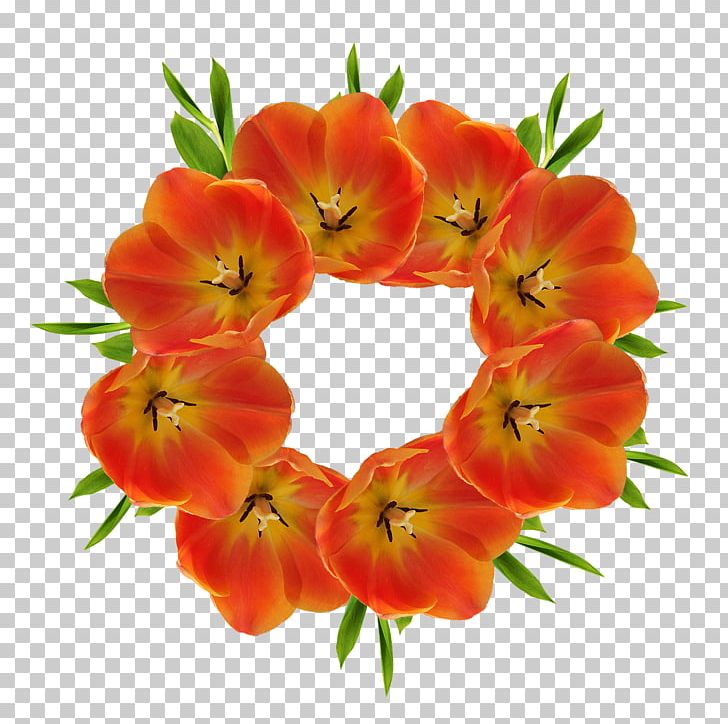 Flower Tulip PNG, Clipart, Annual Plant, Crown, Cut Flowers, Desktop Wallpaper, Drawing Free PNG Download