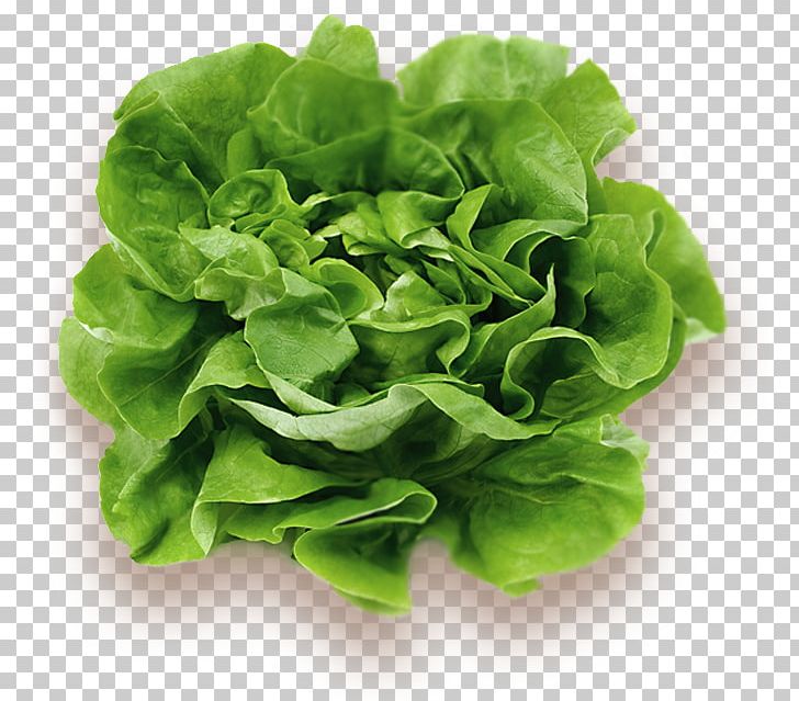 Lettuce Leaf Vegetable Food Wrap PNG, Clipart, Campaign Setting, Chard, Collard Greens, Cruciferous Vegetables, Determinate Cultivar Free PNG Download
