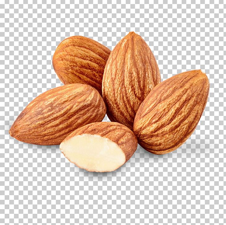 Almond Oil Nut Almond Oil Food PNG, Clipart, Almond, Almond Milk, Almond Oil, Argan Oil, Cashew Free PNG Download