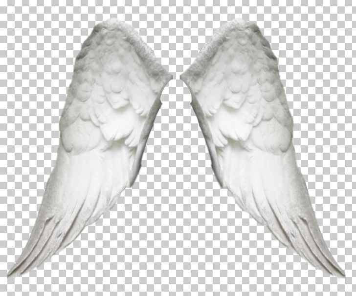 Angel Photomontage PNG, Clipart, Angel, Beak, Bird, Costume, Demon Free PNG Download