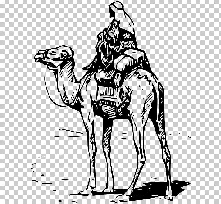 Bactrian Camel Dromedary Silk Road Equestrian PNG, Clipart, Art, Bactrian Camel, Bitcoin, Black And White, Camaleon Free PNG Download