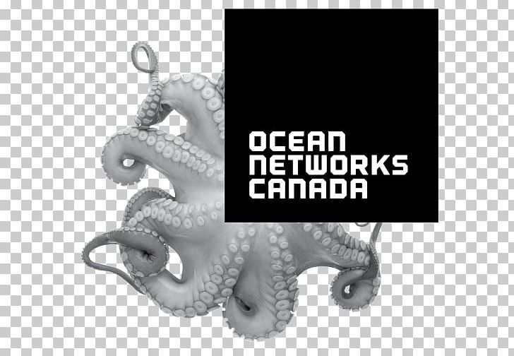 Ocean Networks Canada Earth University Of Victoria Pacific Ocean Salish Sea PNG, Clipart, Brand, Canada, Cephalopod, Earth, Nature Free PNG Download