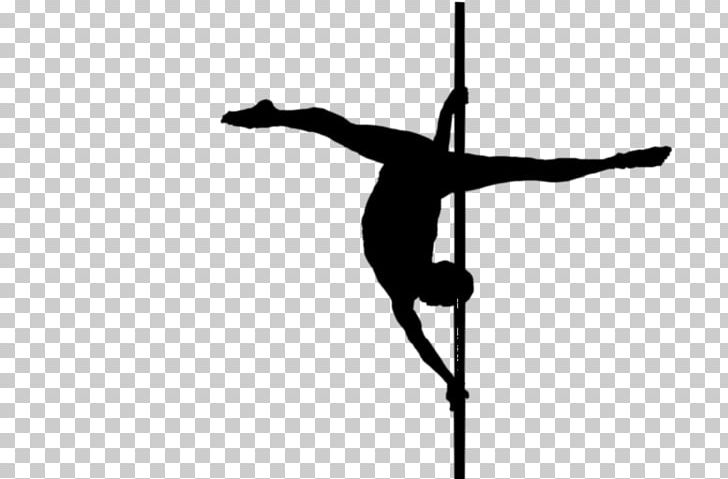 Pole Dance Photography Silhouette Art PNG, Clipart, Acrobatics, Aerial Silk, Animals, Art, Bar Free PNG Download