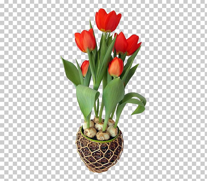 Portable Network Graphics Flower Stock.xchng PNG, Clipart, Bulb, Computer Icons, Cut Flowers, Floral Design, Floristry Free PNG Download
