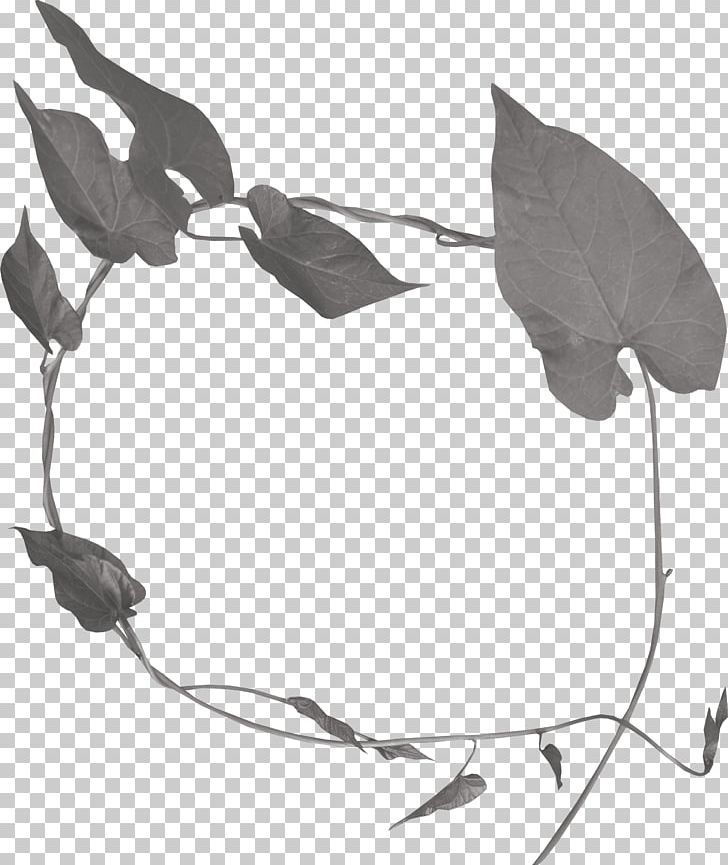 Leaf Wreath Black And White PNG, Clipart, Autumn Leaves, Black And White, Branch, Cartoon, Christmas Wreath Free PNG Download