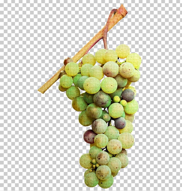 Sultana Verjuice Seedless Fruit Grape Seed Extract PNG, Clipart, Amazon Grape, Food, Fotki Yandex, Fruit, Fruit Nut Free PNG Download