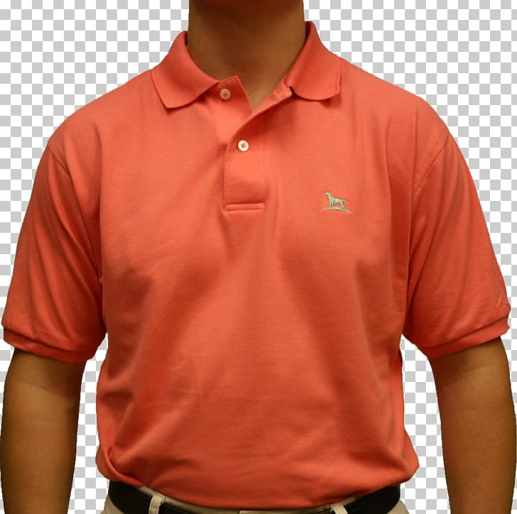 T-shirt Polo Shirt Ralph Lauren Corporation PNG, Clipart, Clothing, Collar, Polo Shirt, Ralph Lauren Corporation, Sleeve Free PNG Download