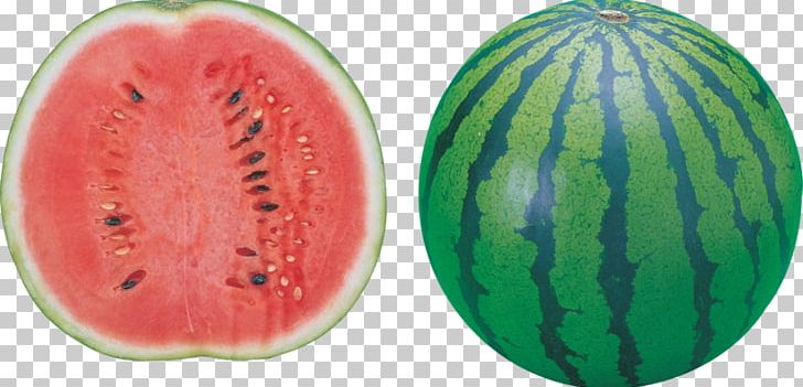 Watermelon PNG, Clipart, Citrullus, Computer Icons, Cucumber Gourd And Melon Family, Cucurbita Pepo, Diet Food Free PNG Download