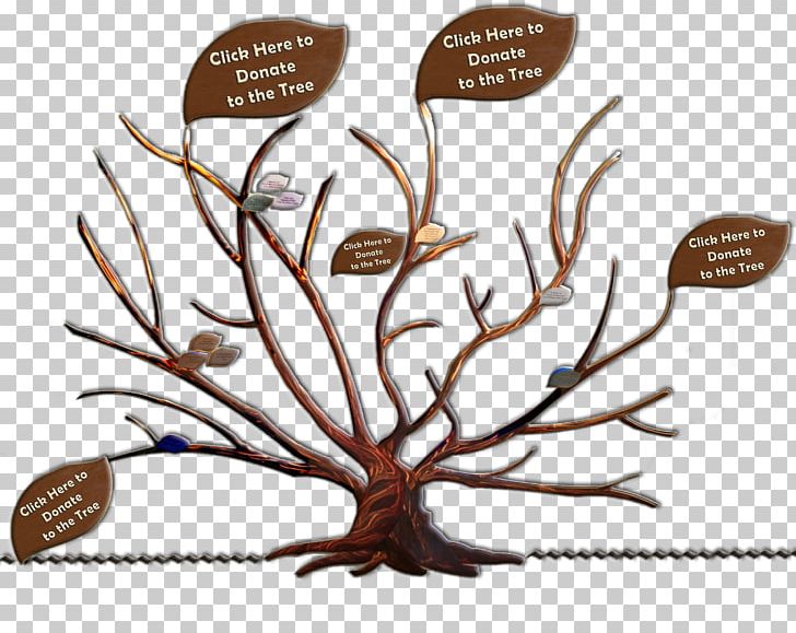 Branch Family Tree Adoption Root PNG, Clipart, Adoption, Boyfriend, Branch, Donation, Family Free PNG Download