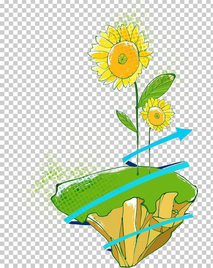 Watercolour Flowers Common Sunflower Painting PNG, Clipart, Cartoon, Daisy Family, Flower, Flower Arranging, Flowers Free PNG Download