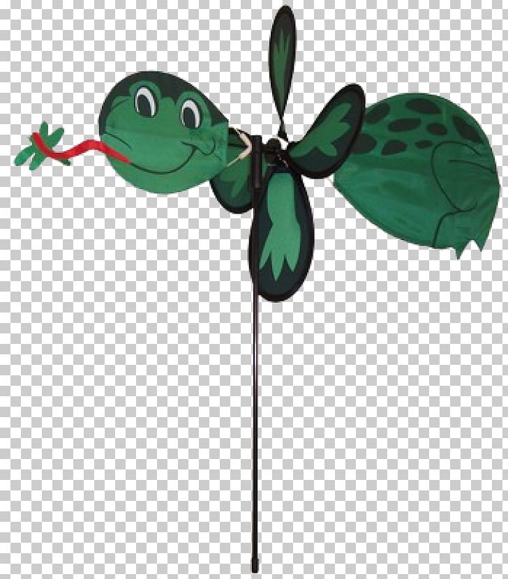 Tree Frog Insect Florida PNG, Clipart, Animals, Butterfly, Com, D3corp, Fiberglass Free PNG Download