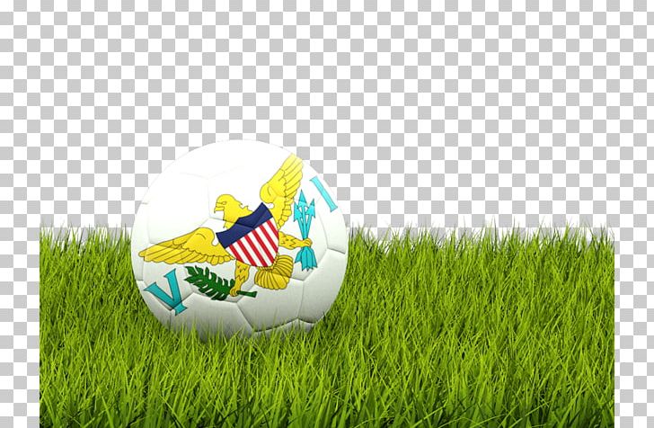 Football Pitch Football Team Sport PNG, Clipart, Ball, College Football, Commodity, Computer Wallpaper, Field Free PNG Download