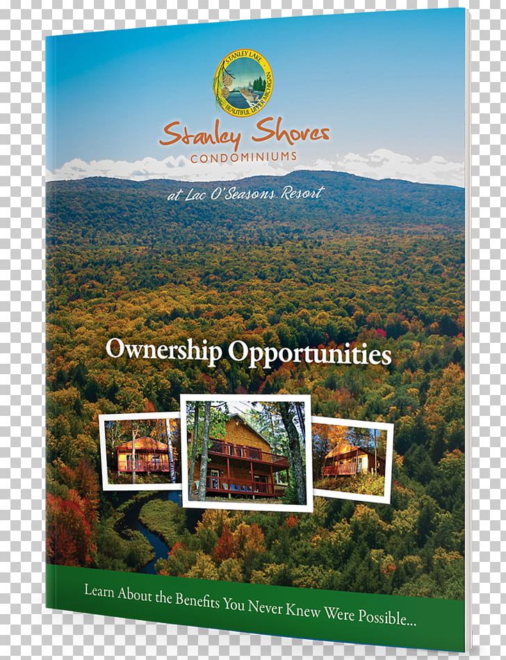 Four Seasons Hotels And Resorts Playland Tourism Hospitality Industry PNG, Clipart, Advertising, Brochure, Brochure Mockup, Email, Four Seasons Hotels And Resorts Free PNG Download
