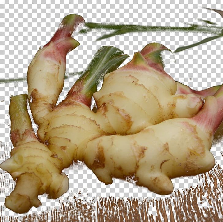 Root Vegetables Ginger Galangal PNG, Clipart, Black Hair, Chinese, Download, Food, Galangal Free PNG Download
