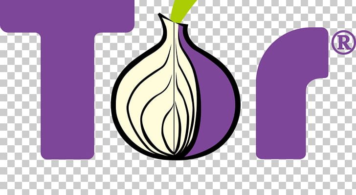 Tor Browser Web Browser Dark Web .onion PNG, Clipart, Anonymity, Brand, Computer Software, Dark Web, Diagram Free PNG Download
