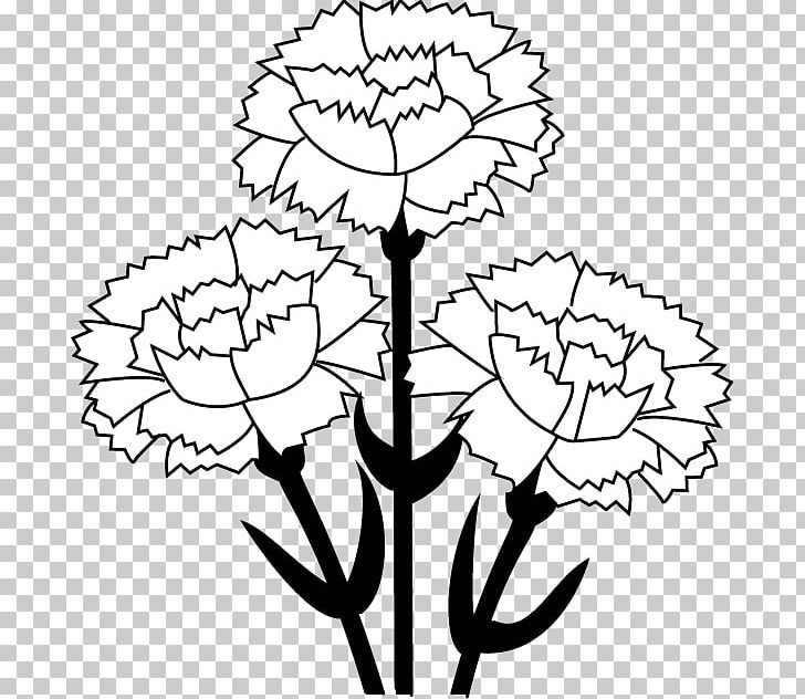 Carnation Free Content PNG, Clipart, Area, Artwork, Black And White, Black Rose, Branch Free PNG Download