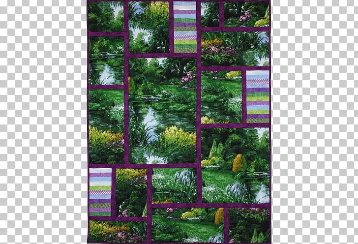 Tree Flora Und Botanischer Garten Koln Park Garden Landscape Png