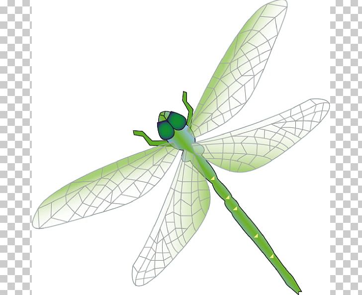 Dragonfly PNG, Clipart, Arthropod, Blog, Cartoon, Clip Art, Dragonflies And Damseflies Free PNG Download