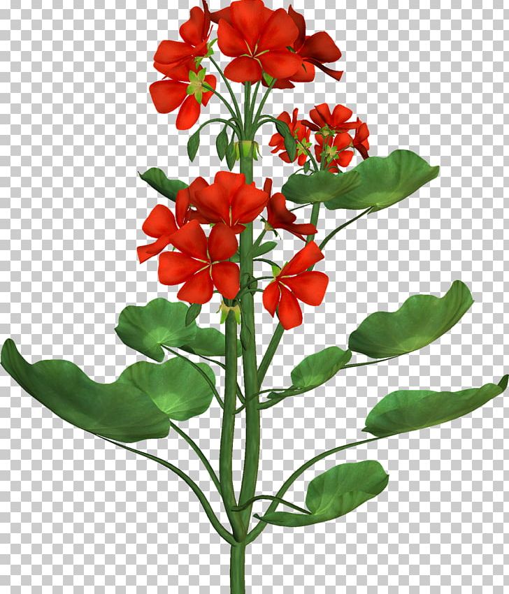 Flower Botanical Illustration Botany PNG, Clipart, Annual Plant, Art, Botanical Illustration, Botany, Clip Art Free PNG Download