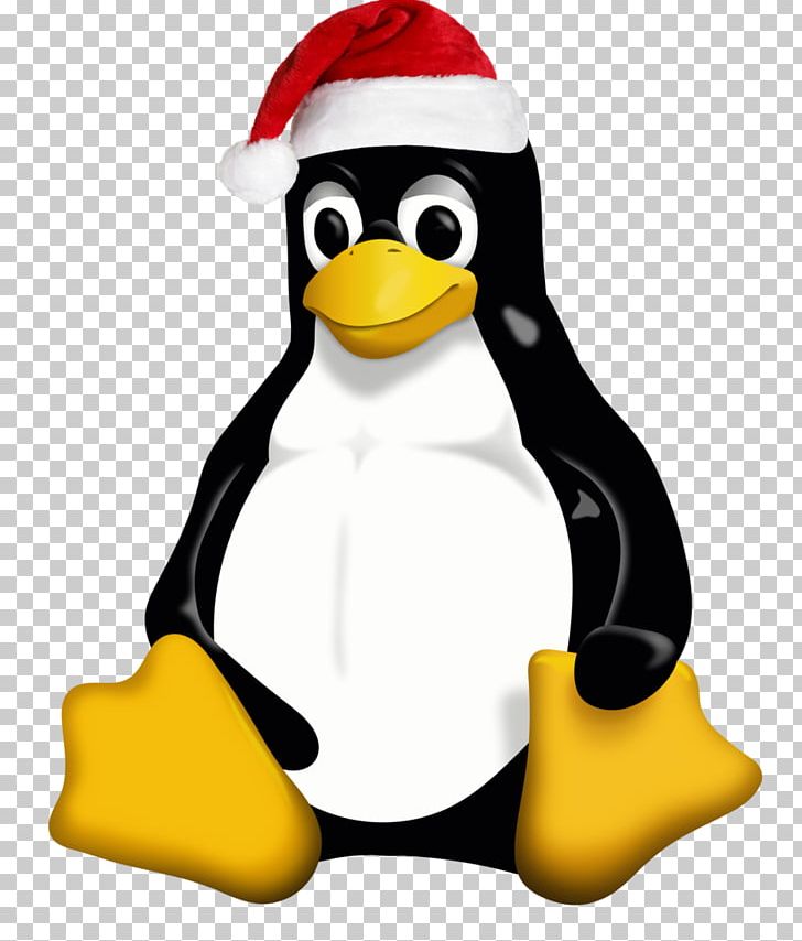 Linux Distribution Operating Systems Ubuntu Linux Kernel PNG, Clipart, Arch Linux, Beak, Bird, Computer Software, Debian Free PNG Download
