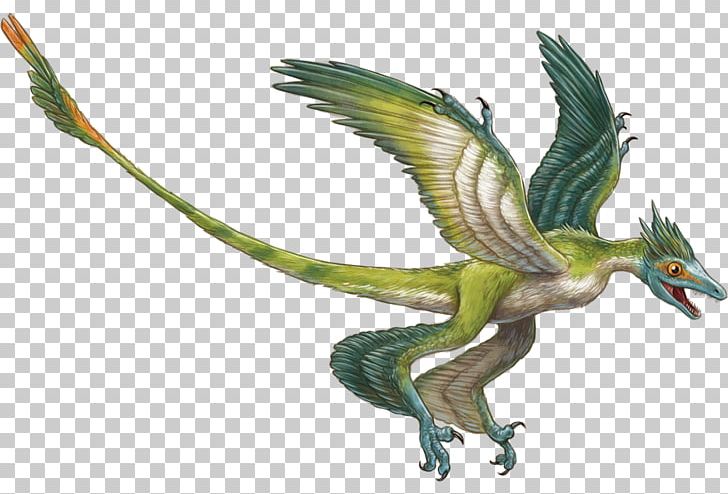 Microraptor Velociraptor Triceratops Rahonavis Deinonychus PNG, Clipart, Beak, Bird, Cretaceous, Deinonychus, Dinosaur Free PNG Download