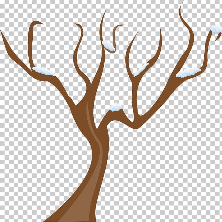 Tree PNG, Clipart, Antler, Branch, Coconut Tree, Deer, Document Free PNG Download