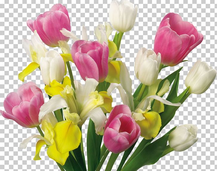 Tulip Flower PNG, Clipart, Computer, Crocus, Cut Flowers, Desktop Wallpaper, Floral Design Free PNG Download