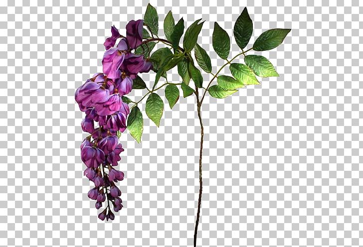 Flower Blue Violet Mauve Purple PNG, Clipart, Blue, Branch, Color, Cut Flowers, Drawing Free PNG Download